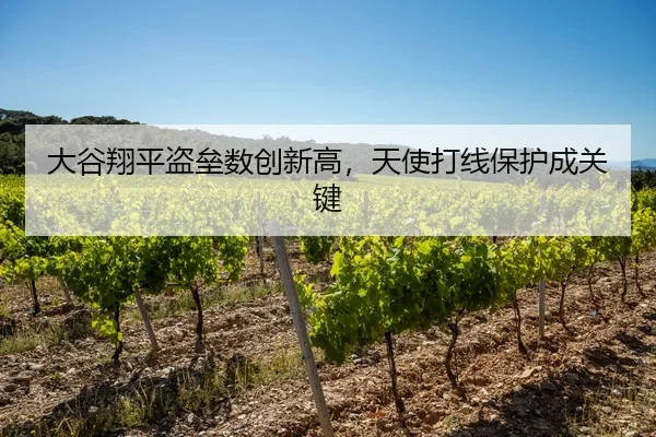 大谷翔平盗垒数创新高，天使打线保护成关键