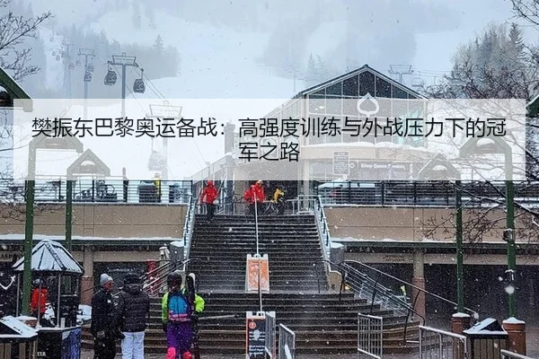 樊振东巴黎奥运备战：高强度训练与外战压力下的冠军之路